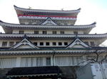 IMG_4294.JPG