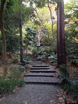 IMG_5175.JPG