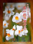 DSCN2349.JPG