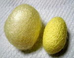 DSCN2884.JPG