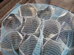 DSCN3608.JPG