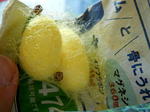 DSCN3646.JPG