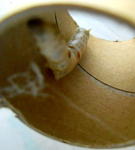 DSCN5317.JPG