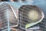 DSCN5334.JPG