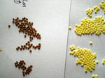 DSCN5455.JPG