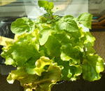 DSCN7509.JPG