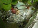 DSCN7549.JPG