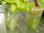 DSCN7553.JPG