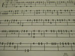 DSCN8389.JPG