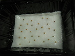 DSCN9537.JPG