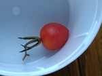 IMG_20240502_075931.jpg