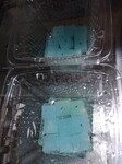 IMG_20250115_085422.jpg