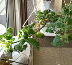 IMG_20250130_074317.jpg