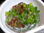 IMG_20250224_160225.jpg