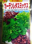 IMG_20250320_095615.jpg