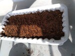 IMG_20250320_102831.jpg