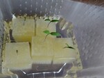 IMG_20250329_075541.jpg