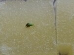 IMG_20250329_075616.jpg