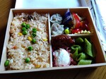 IMG_20250406_162532.jpg