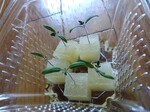 IMG_20250409_093541.jpg