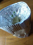 IMG_20250409_100305.jpg