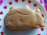 IMG_20250513_171228.jpg