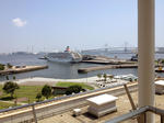IMG_5910.JPG