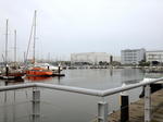 IMG_7023.JPG