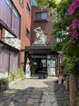 IMG_7306.JPG