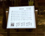 IMG_7763.JPG